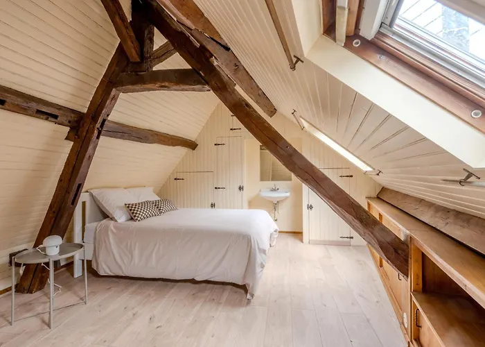 - Wifi - Animaux Autorises